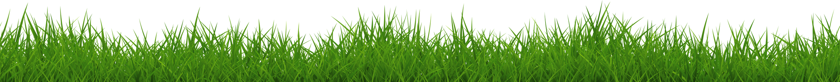 Very wide uneven grass seamless border